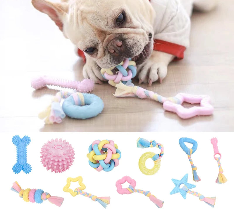Dog Interactive Chewing Toy