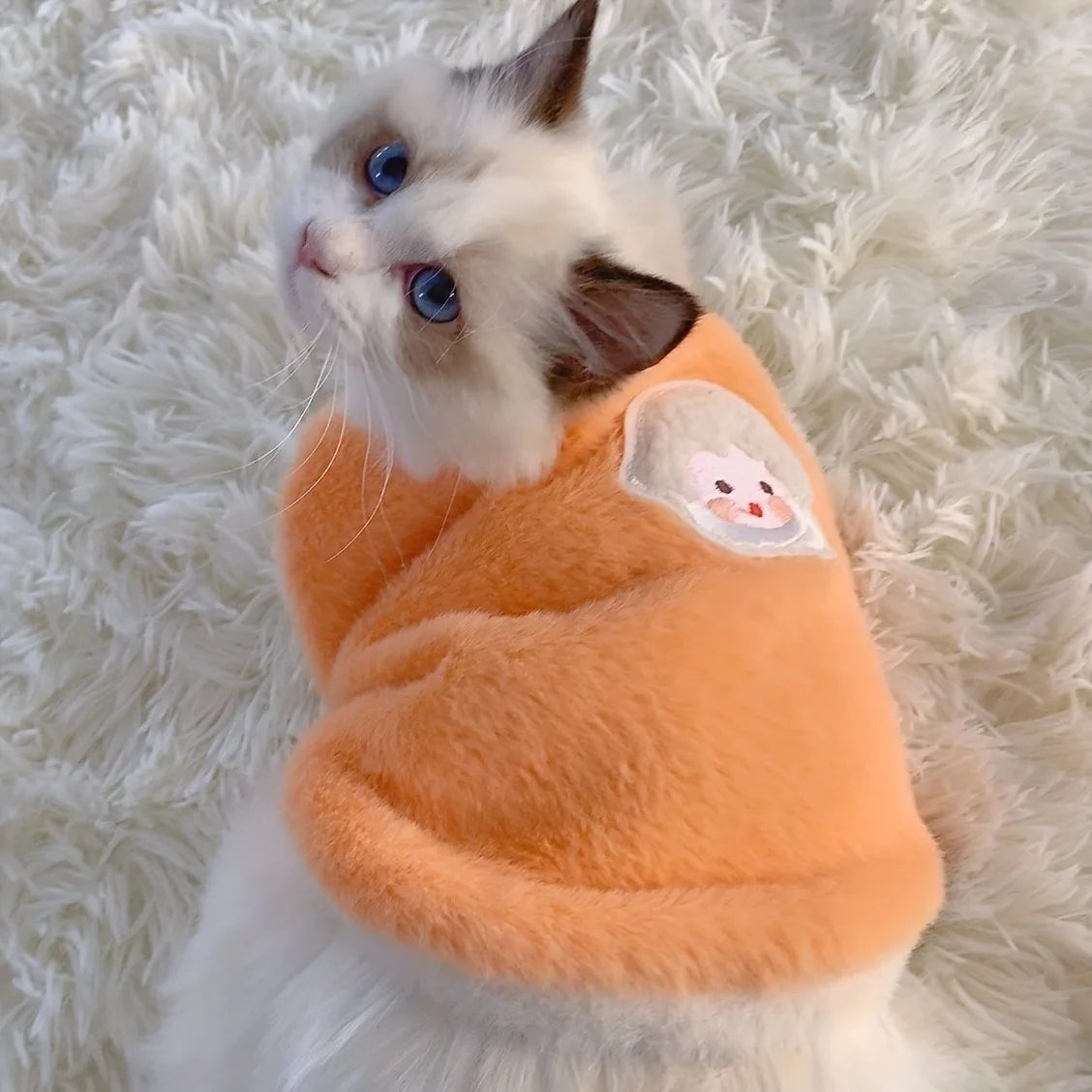 Cat Sweater