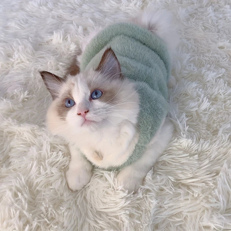 Cat Sweater