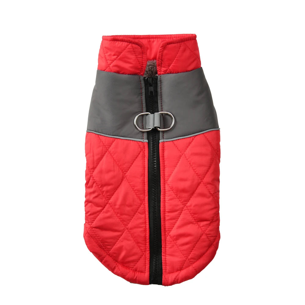 Dog Vest