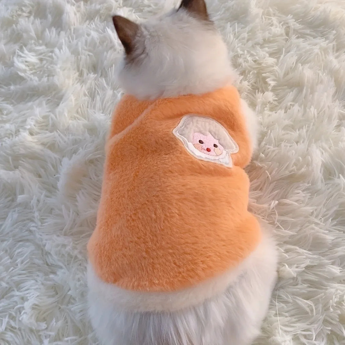 Cat Sweater