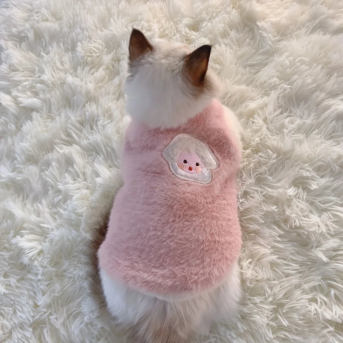 Cat Sweater