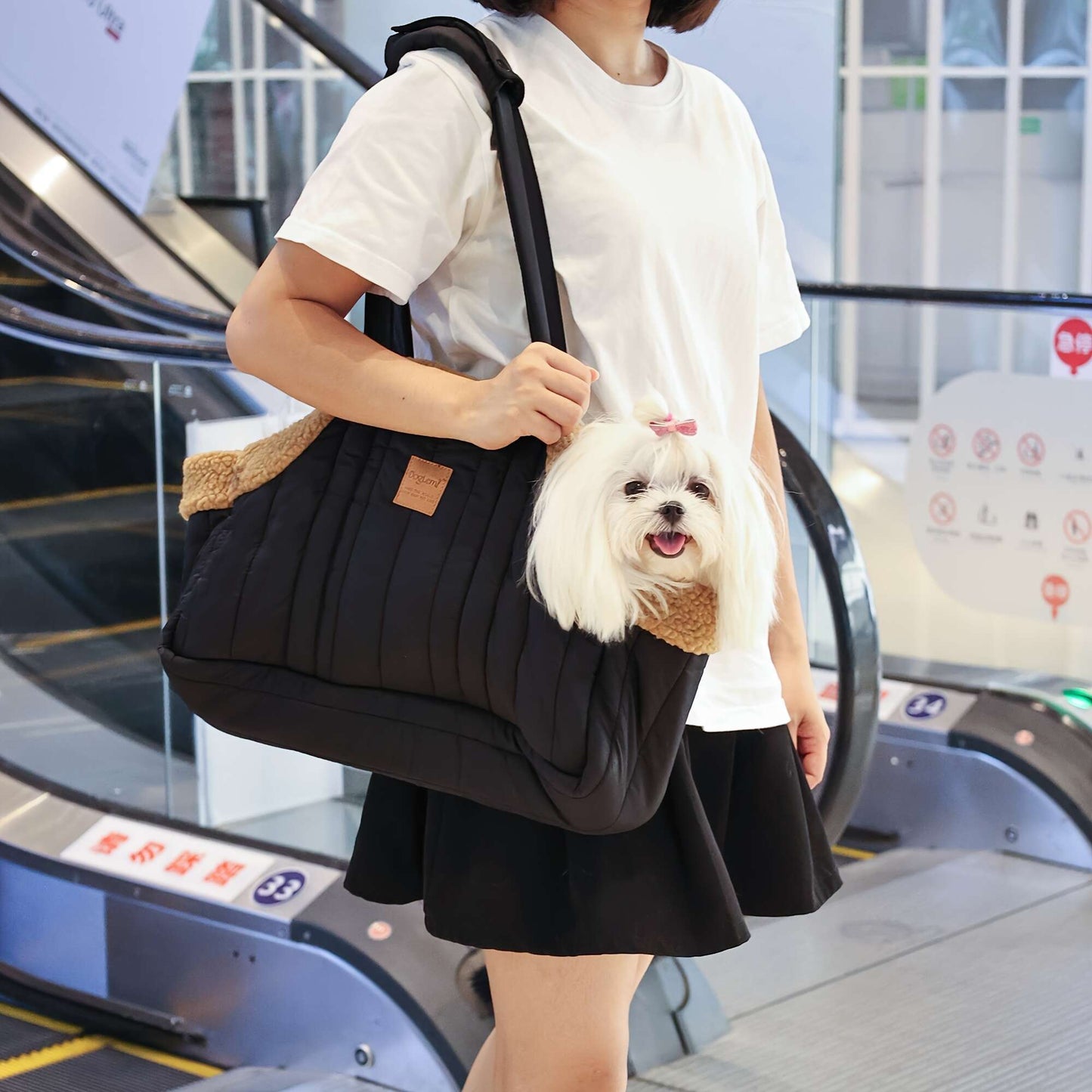 Pet Carrier Bag