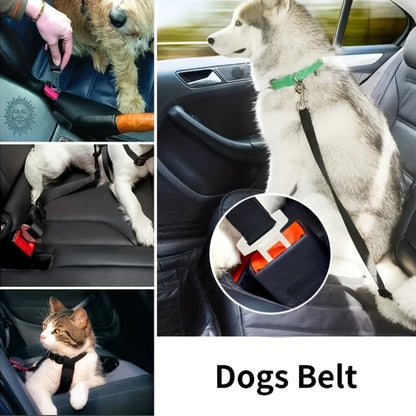 Pet Car Seat Belt