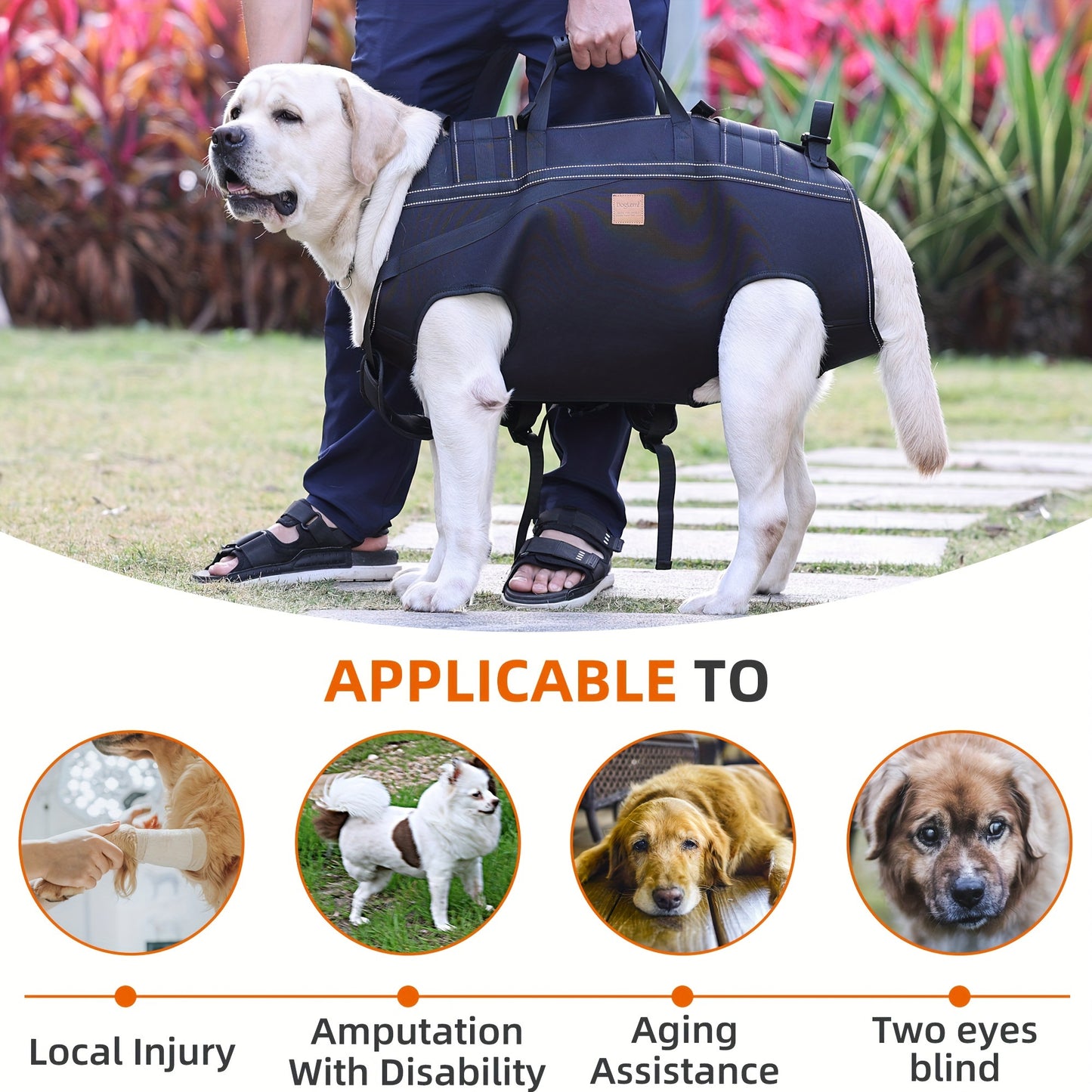 CarryPaw Side Carry Backpack