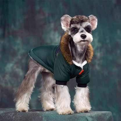 Warm Dog Jacket