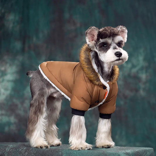 Warm Dog Jacket