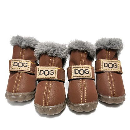 Dog Shoes