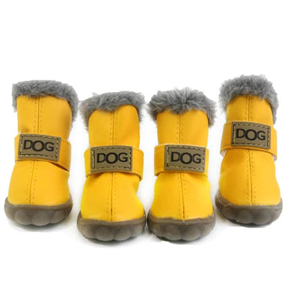 Dog Shoes