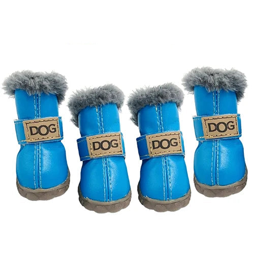 Dog Shoes