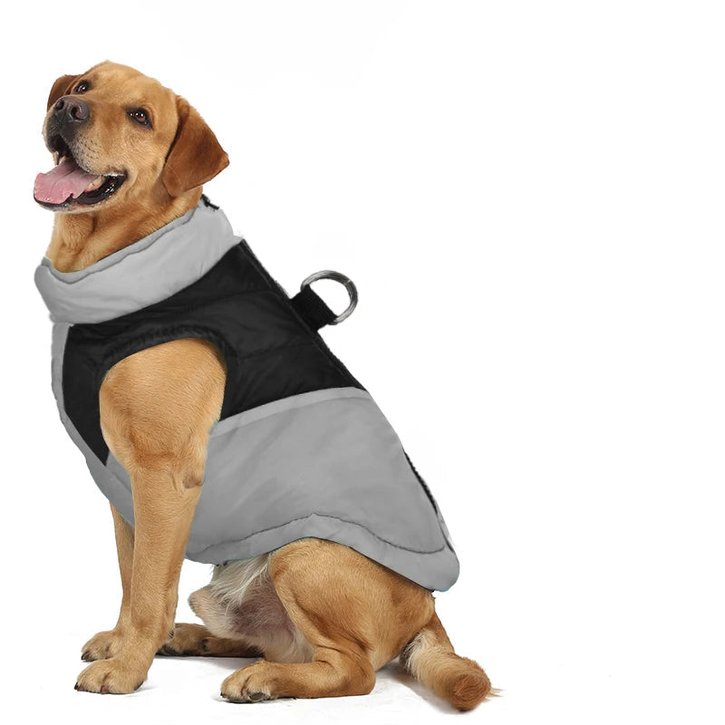 Large Dog Vest