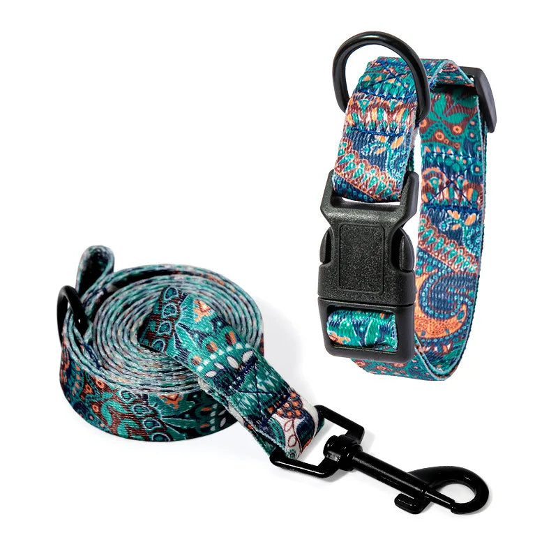 Pet Collar and Leash Set