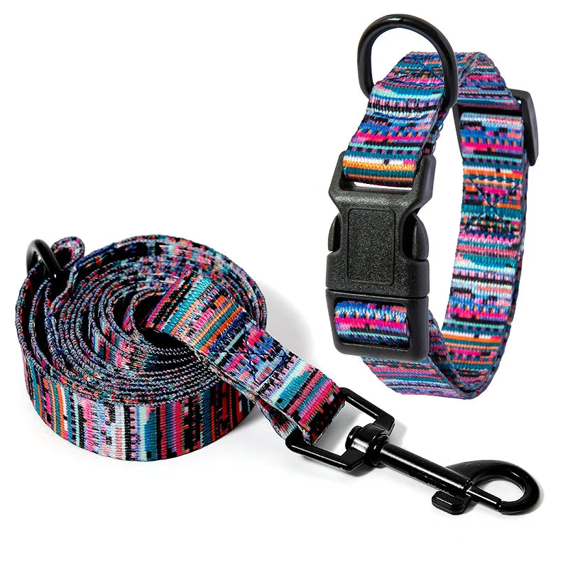 Pet Collar and Leash Set