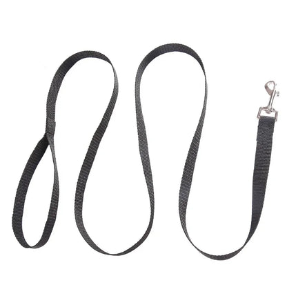 Dog Leash