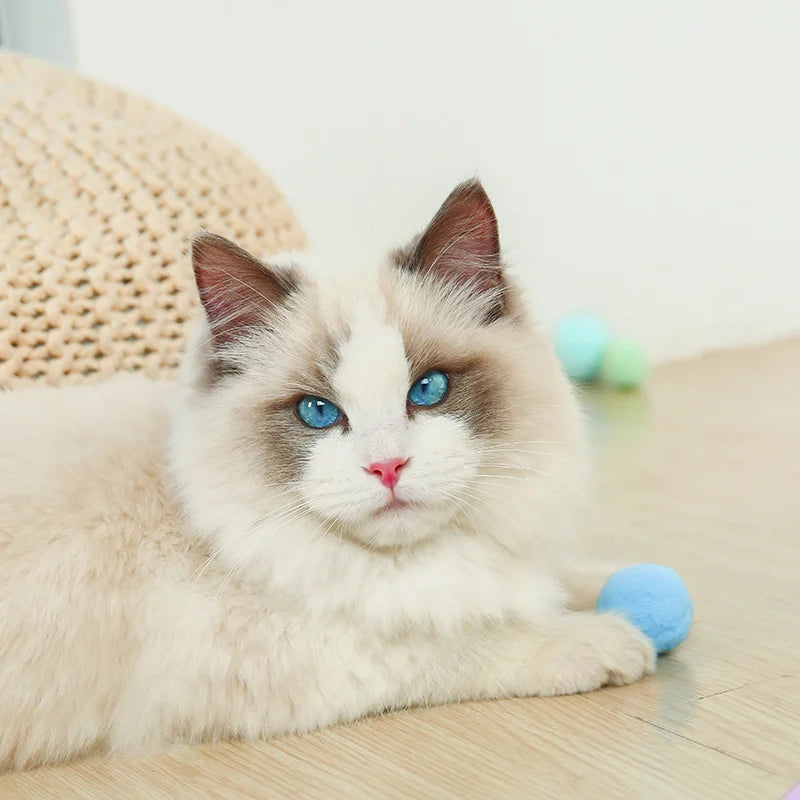 Cat Toy Ball