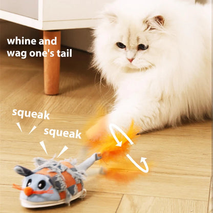 Interactive Cat Toy