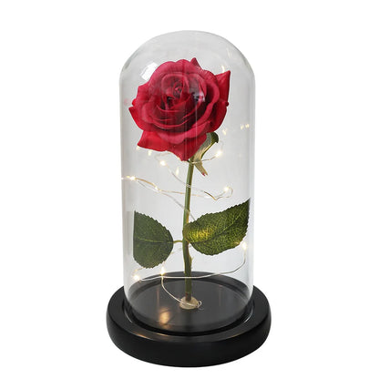 Beauty and the Beast Rose