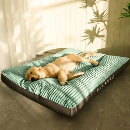 Pet Bed