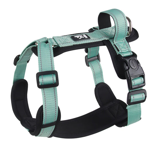 Dog Harness