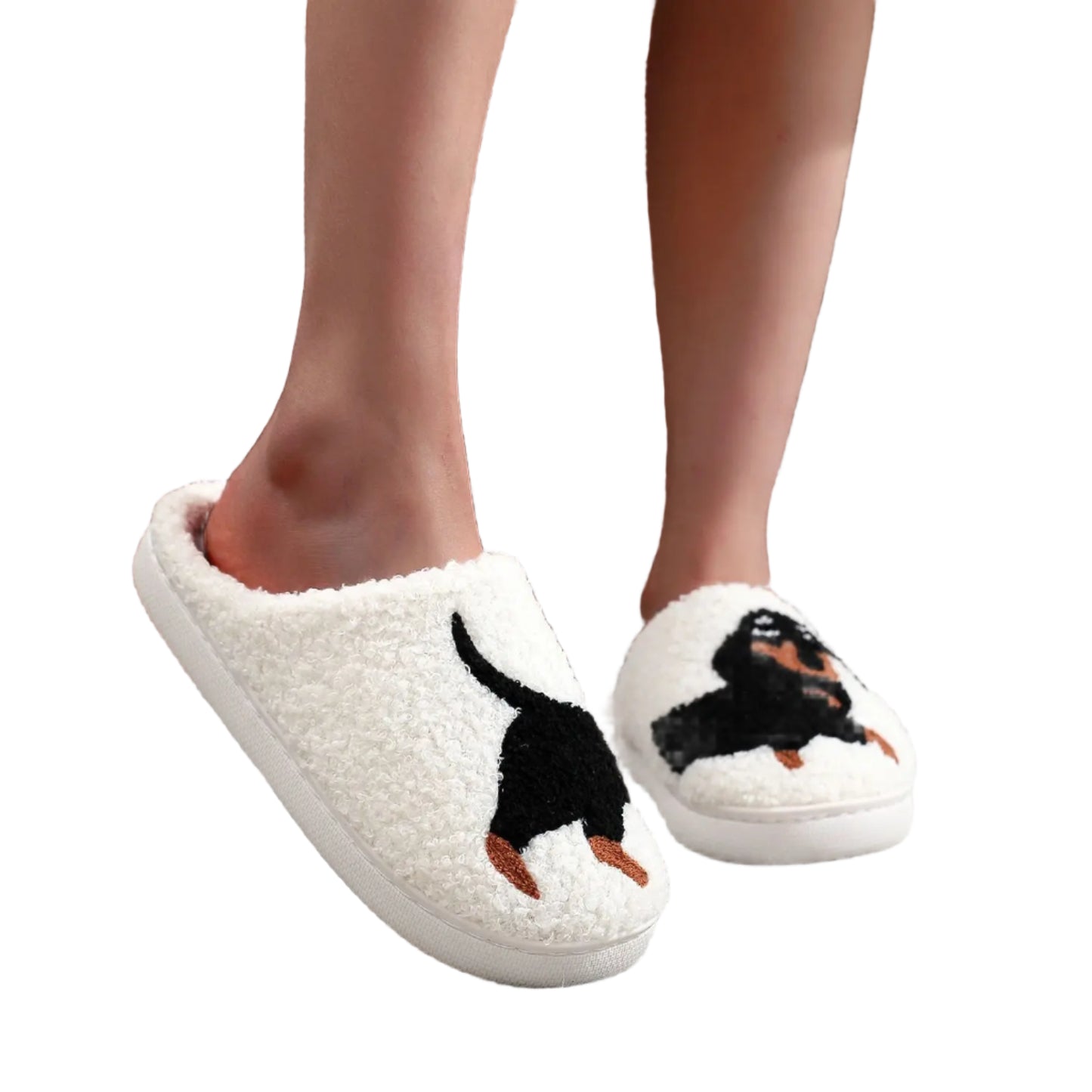 Dachshund Slippers