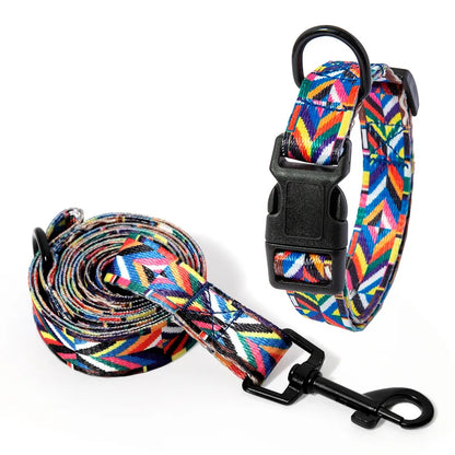 Pet Collar and Leash Set