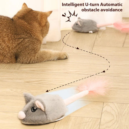 Interactive Cat Toy