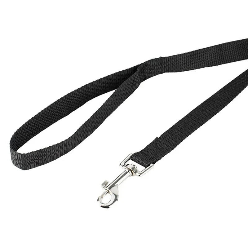 Dog Leash