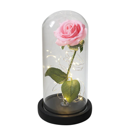 Beauty and the Beast Rose