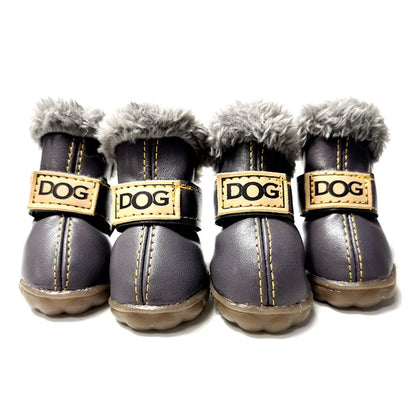 Dog Shoes