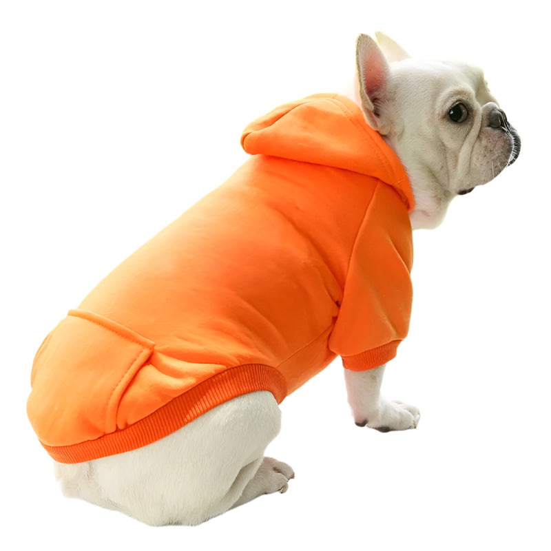 Pet Hoodie