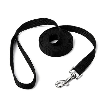 Dog Leash