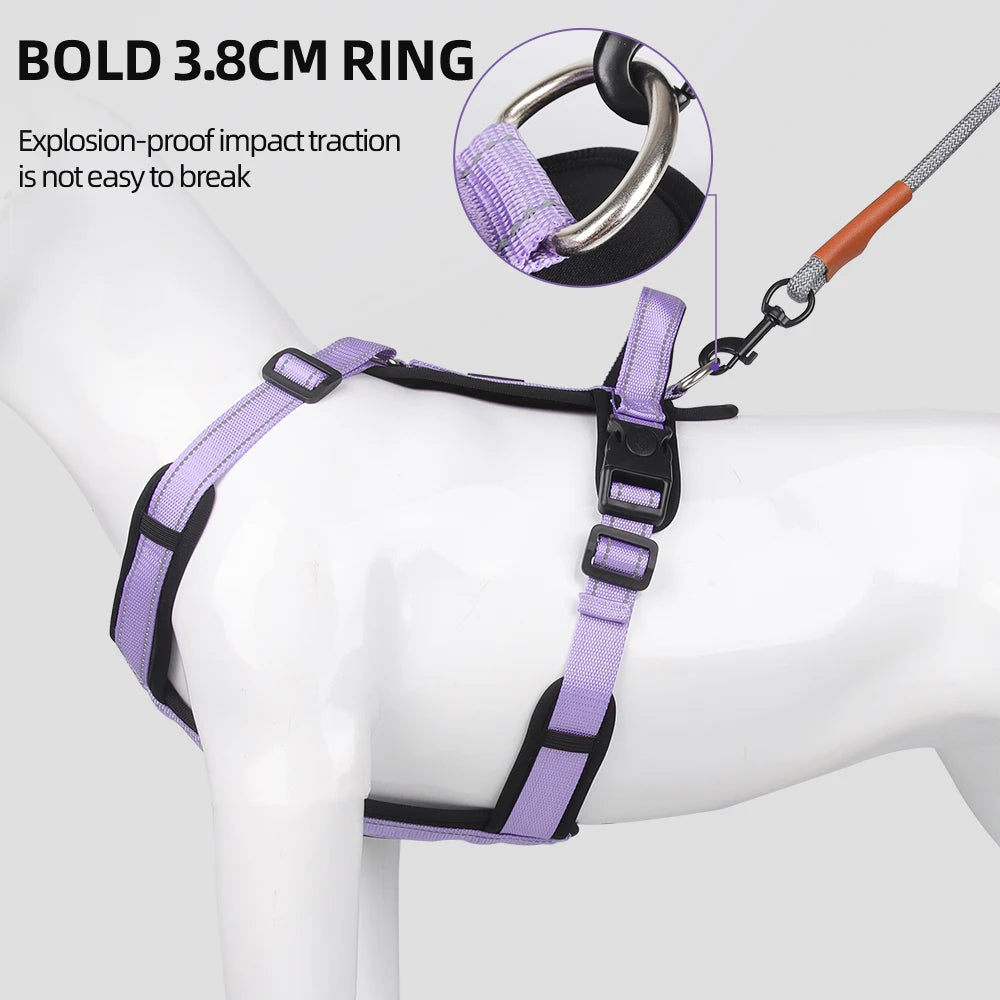 Dog Harness