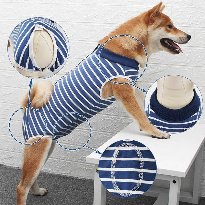 Dog Recovery Suit