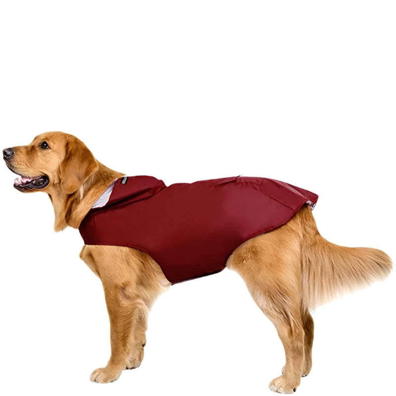 Dog Raincoat