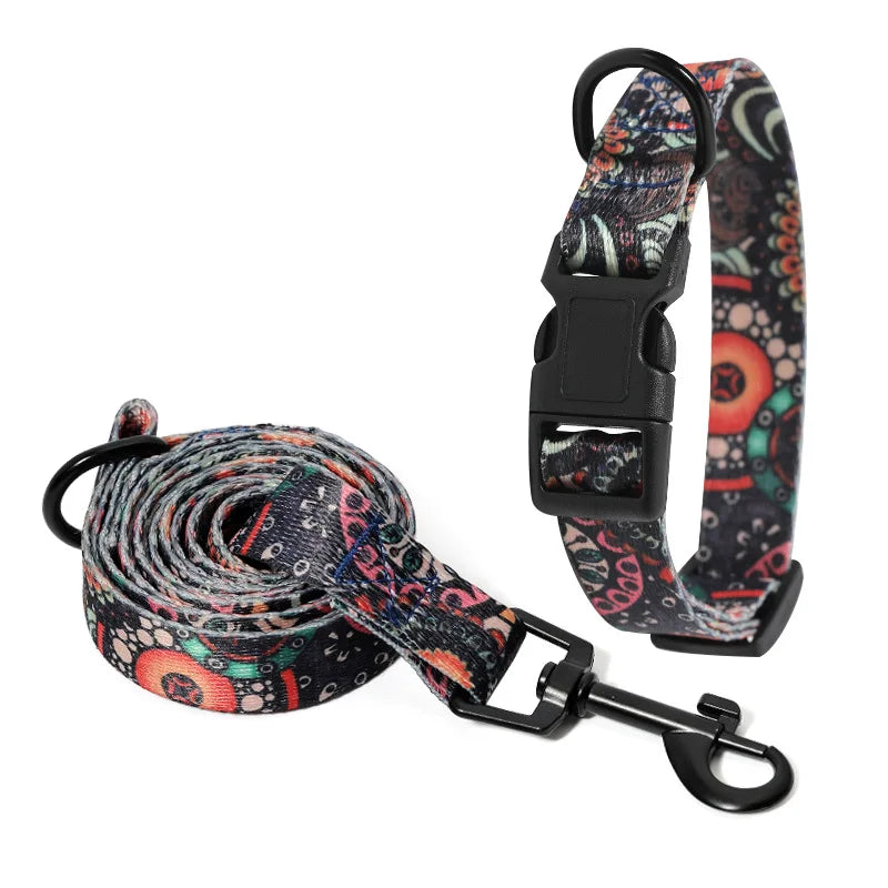 Pet Collar and Leash Set