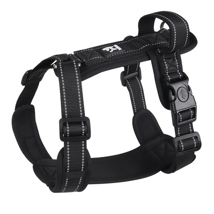 Dog Harness