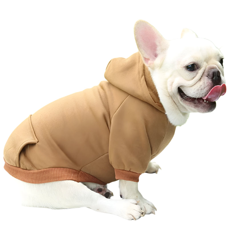 Pet Hoodie