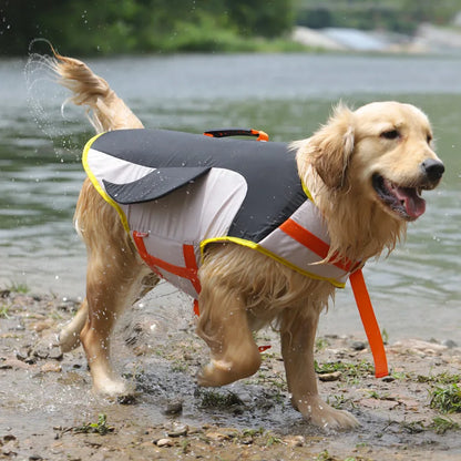 Life Vest