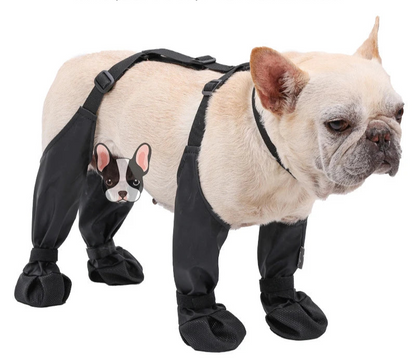 Dog Shoes