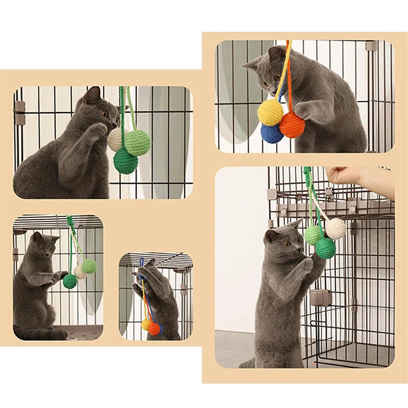 Cat Ball Toy