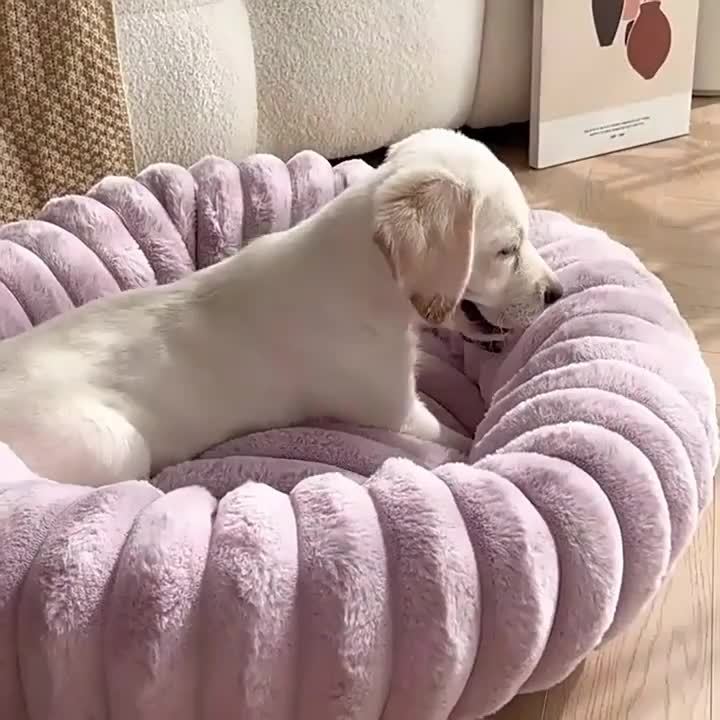 Round Plush Pet Bed